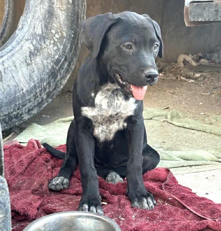 Negrita (28) — thumbnail 4