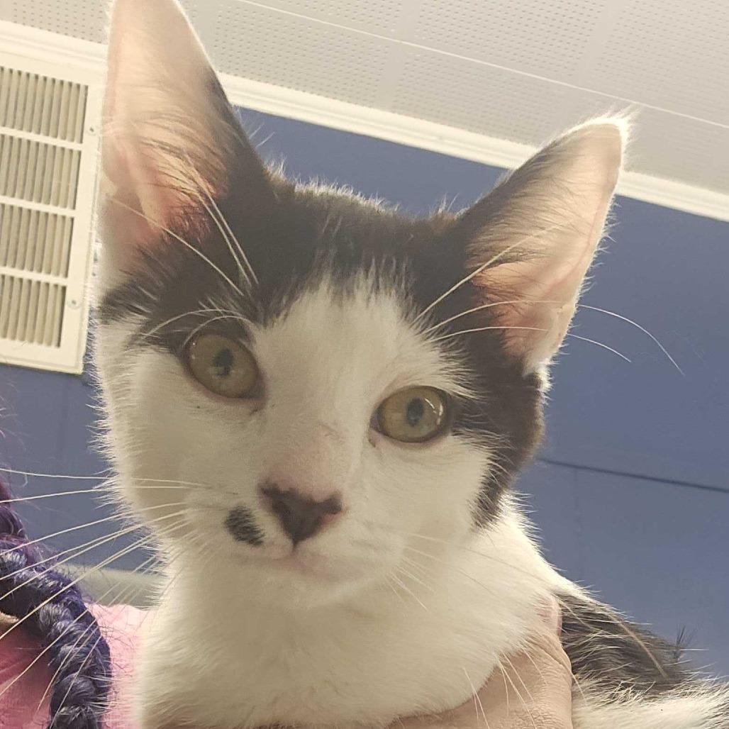 Fernando thumbnail 2