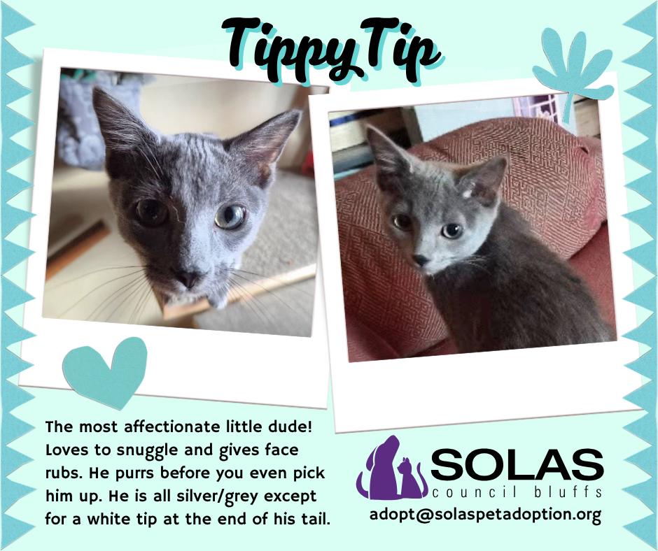TippyTip -- (dd)