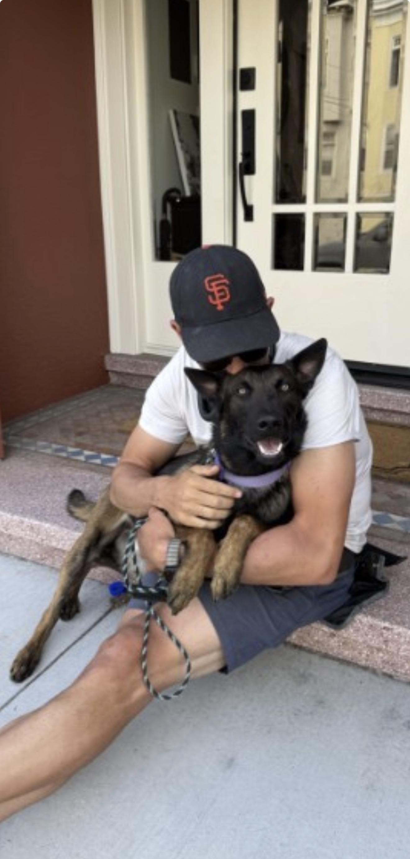 Enlarge Hammer, a ADOPTABLE Belgian Shepherd / Malinois in San Diego, CA image 3/3