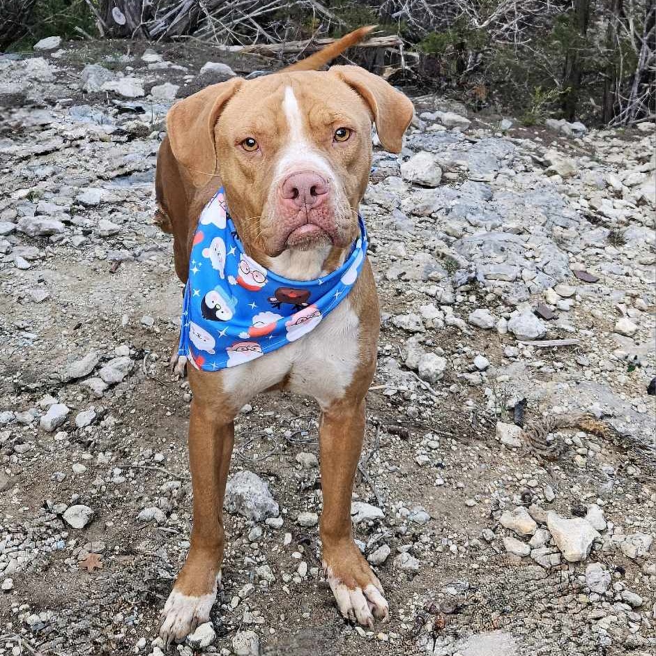 Charlie — thumbnail 5