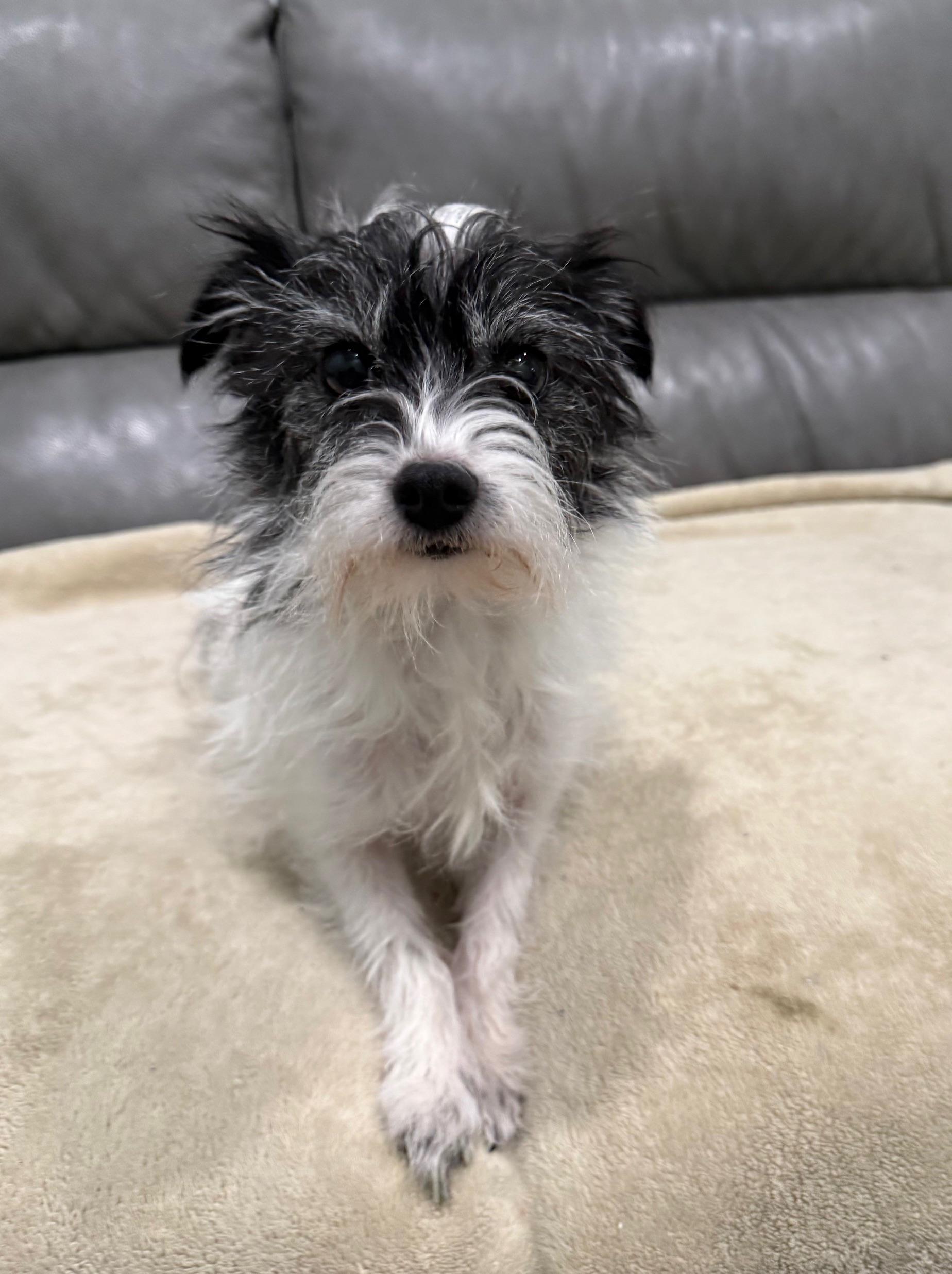 Meko — thumbnail 2