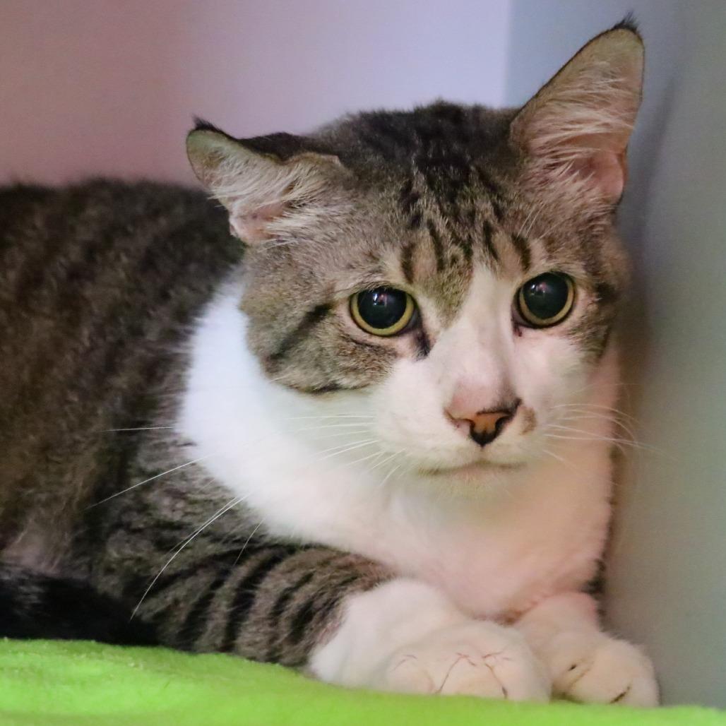 Buddy — thumbnail 5