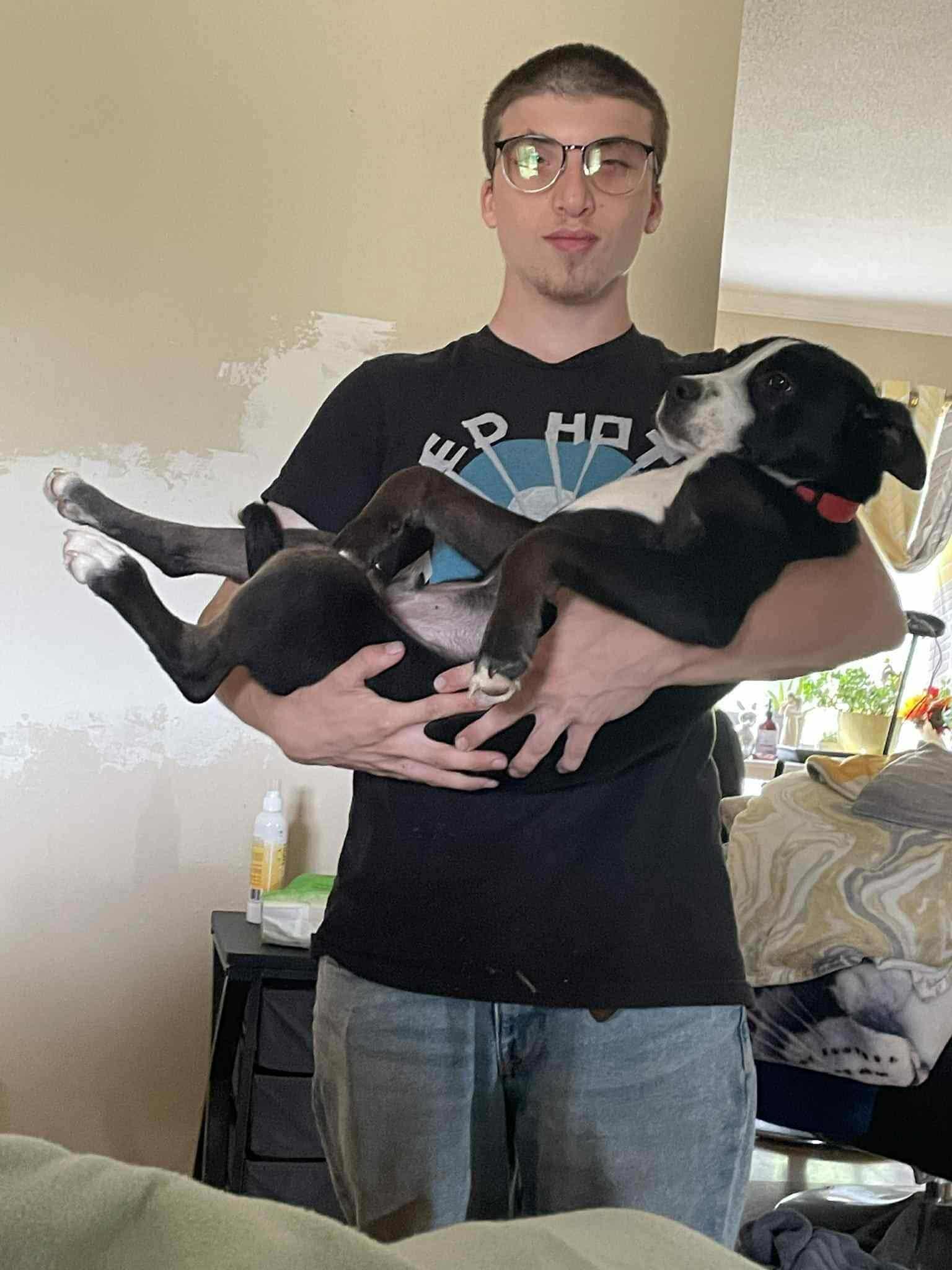 Toby2, Adopted, Puppy Male Terrier.