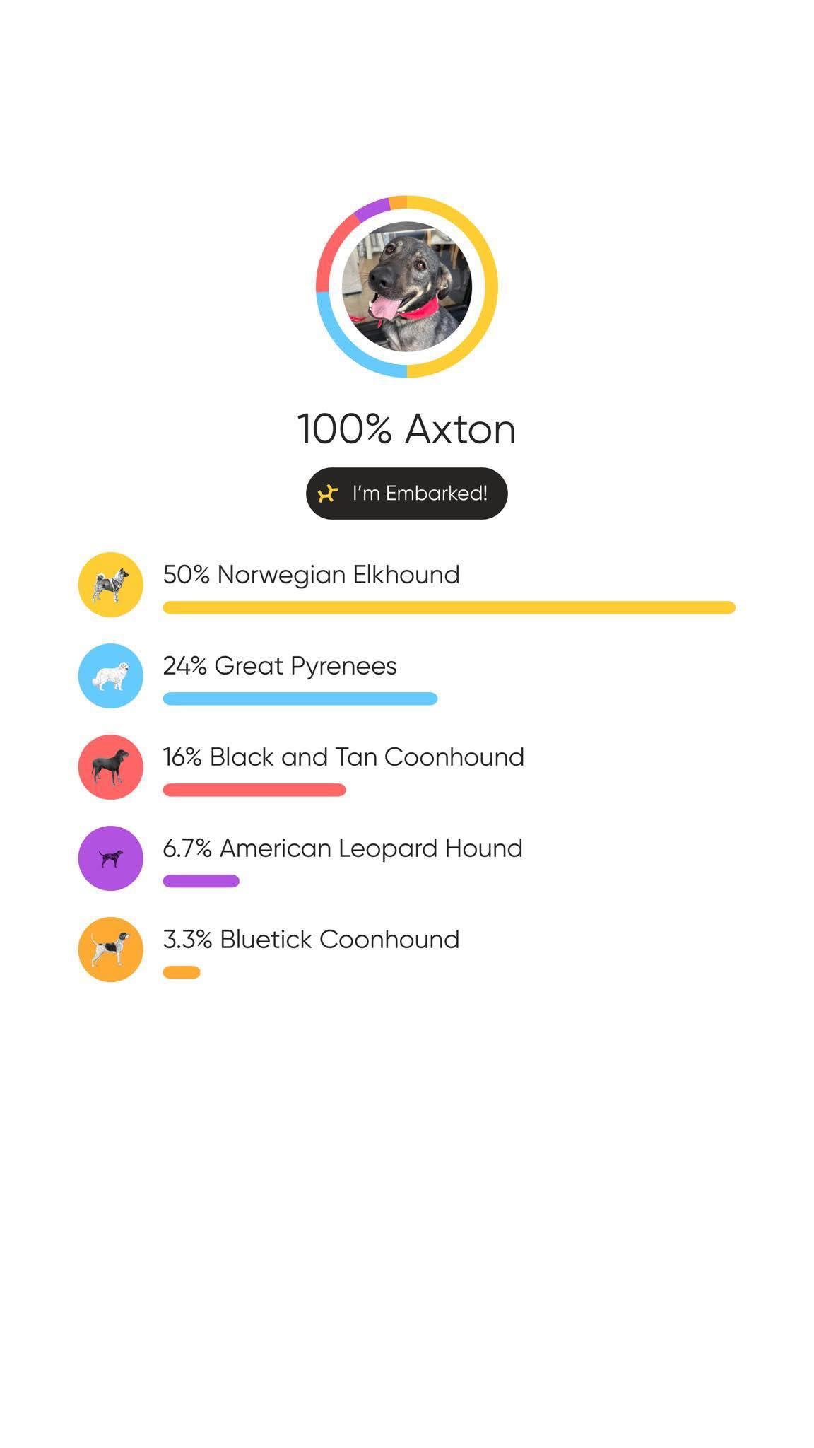 Enlarge Axton, a Adoptable mixed breed in Ona, WV image 5/5