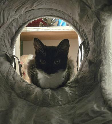 Star — thumbnail 4