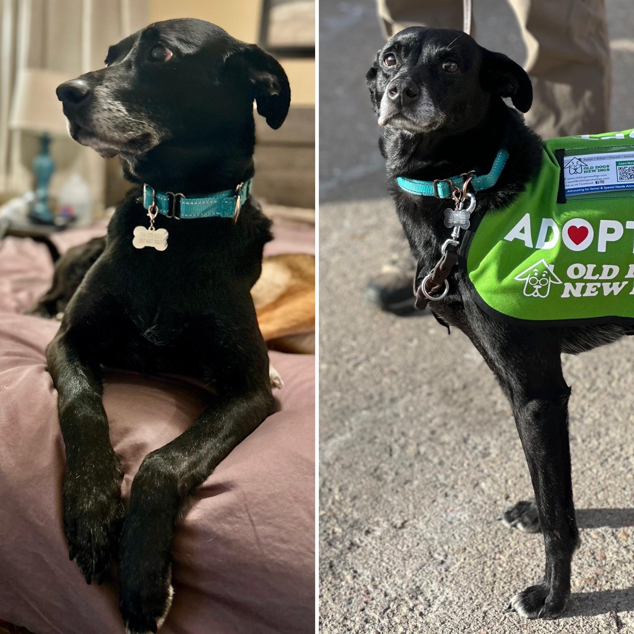 Kettle in Colorado — thumbnail 3