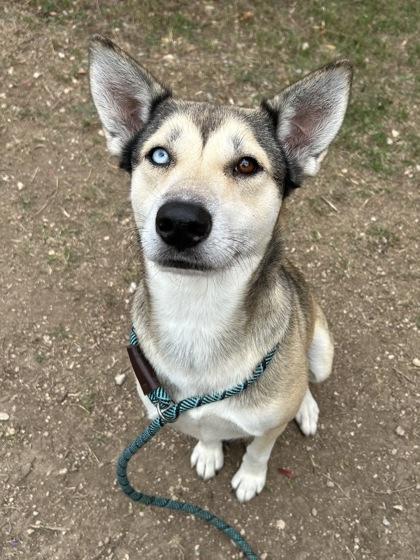 Eliana — thumbnail 2