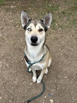 Eliana — thumbnail 3