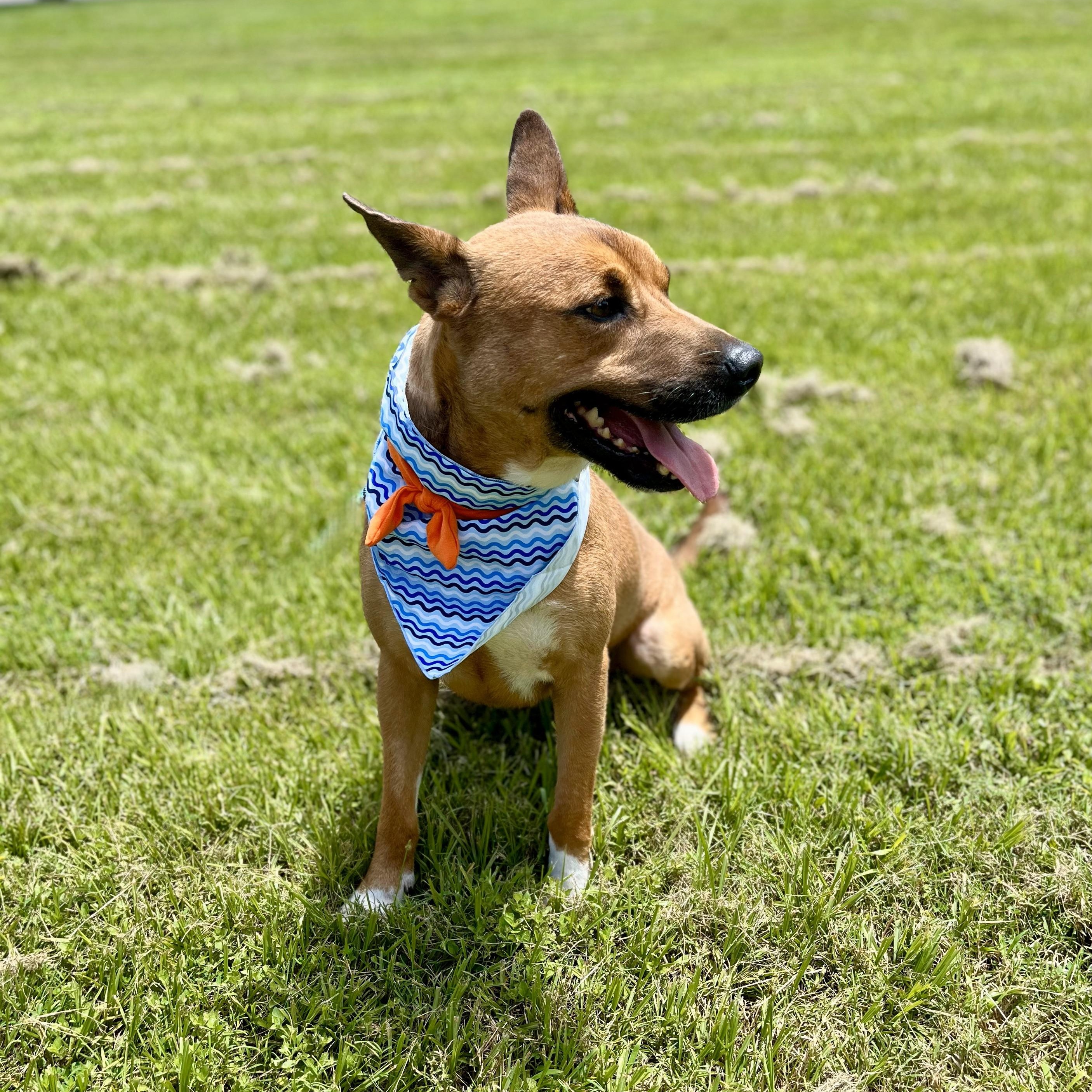 Stan — thumbnail 5