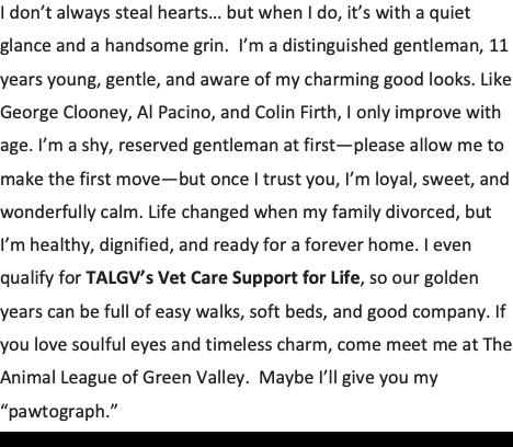 Bailey--Handsome Gent Comes with Vet Care Support for Life!