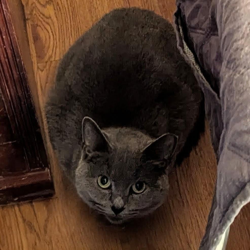 Ingrid — thumbnail 2