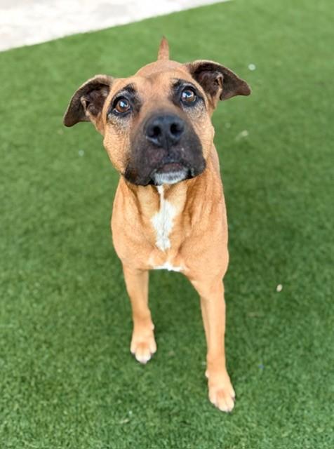 LEDDIE — thumbnail 2