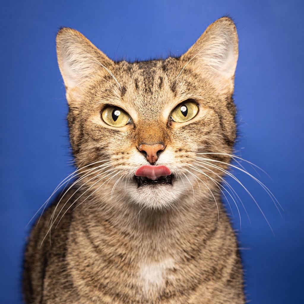 Wylie — thumbnail 6