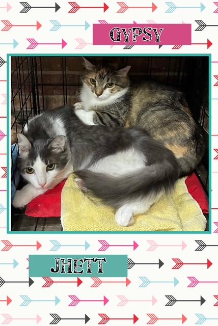 Gypsy & Jhett