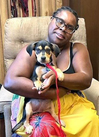 Enlarge Twila, a Adopted Beagle in Mount Laurel, NJ image 2/3