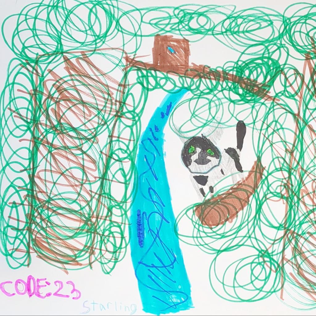 Starling, a Adoptable mixed breed in Long Beach, CA image 6/6