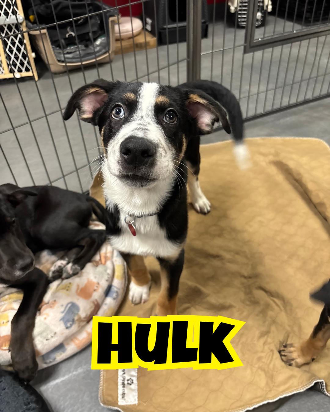 Hulk