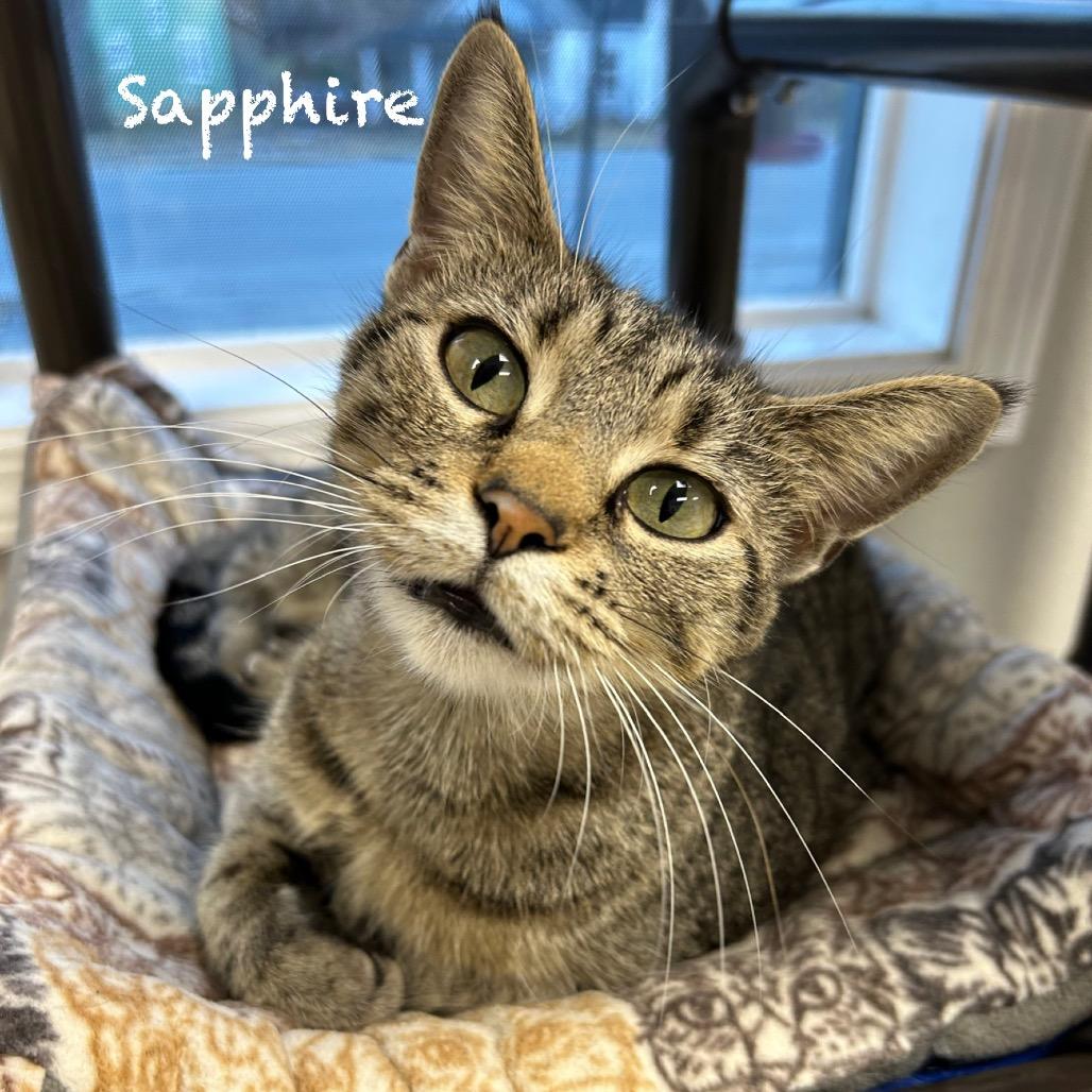 Sapphire — thumbnail 2