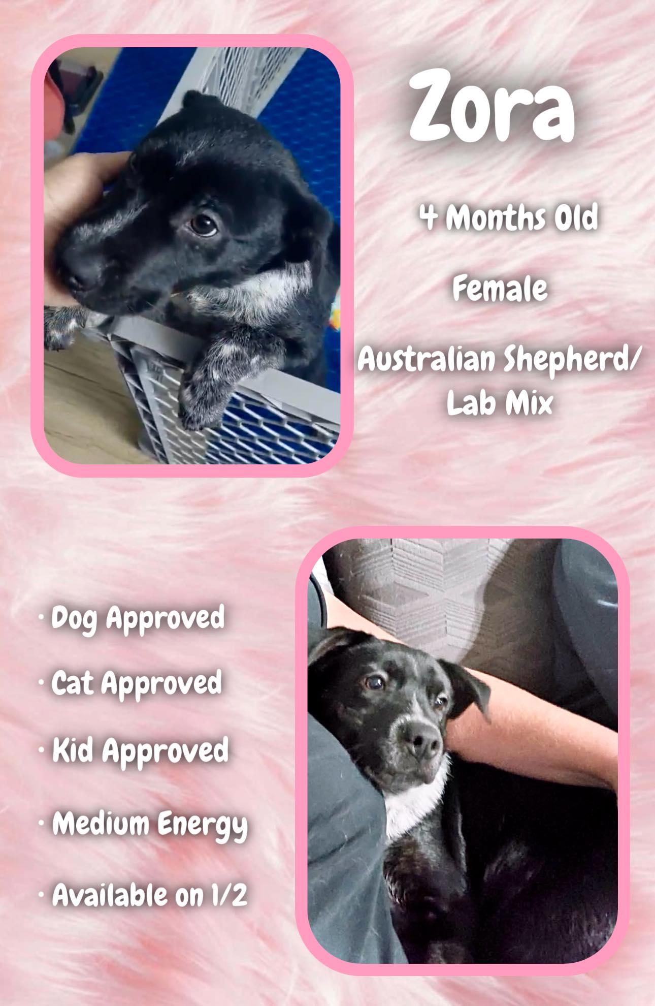 Zora  Dawn thumbnail 2