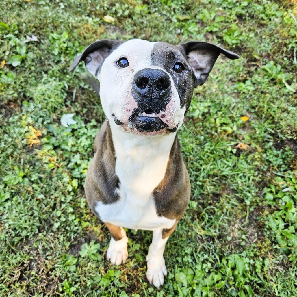 Tank — thumbnail 4