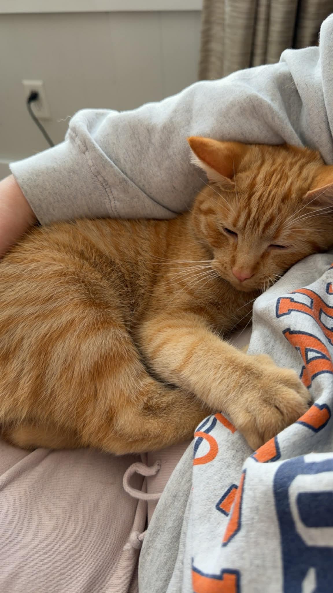 Catrat — thumbnail 2