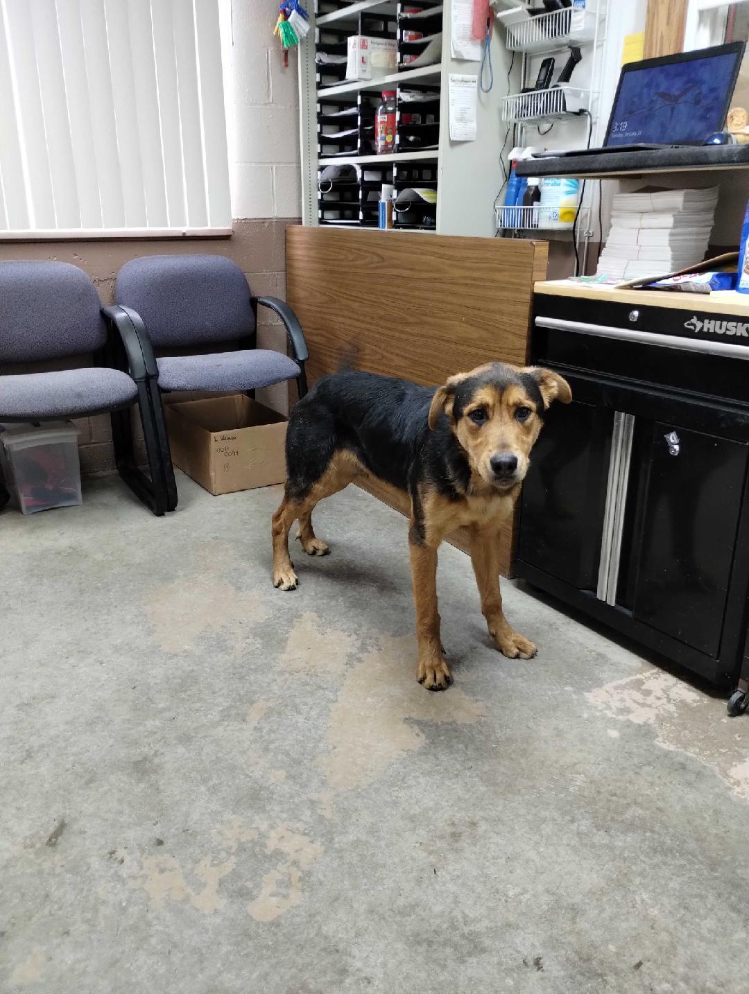 24-257 Available 12-23-24