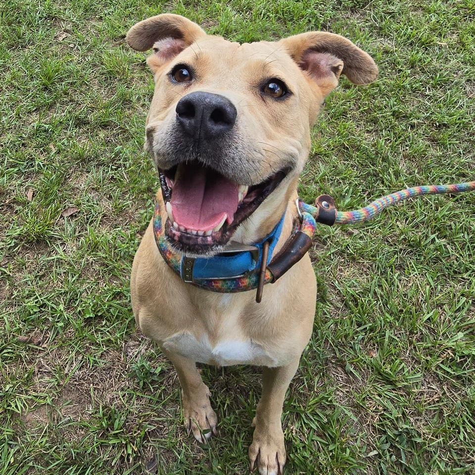 Lovely Lady — thumbnail 4