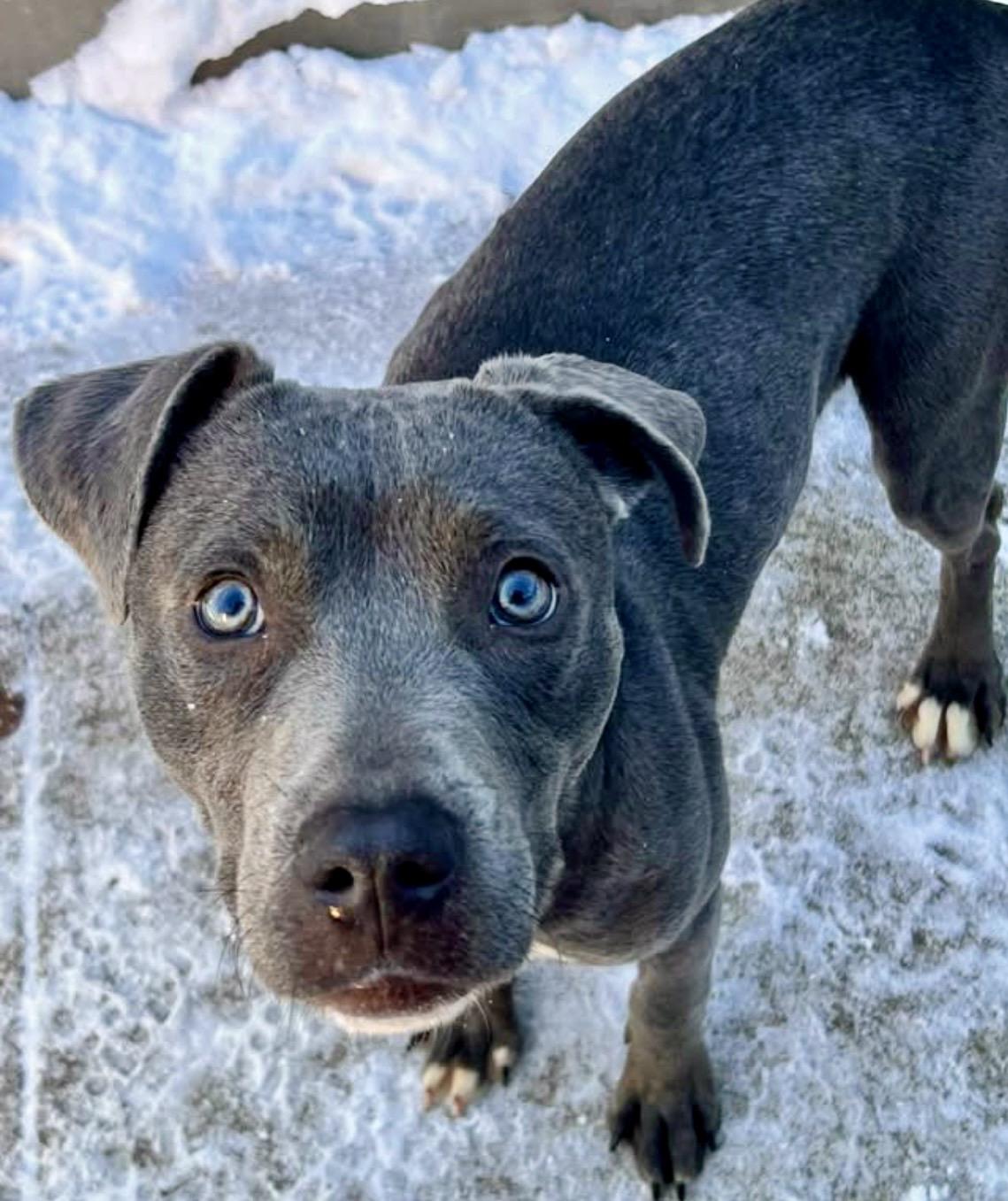 Axel — thumbnail 2