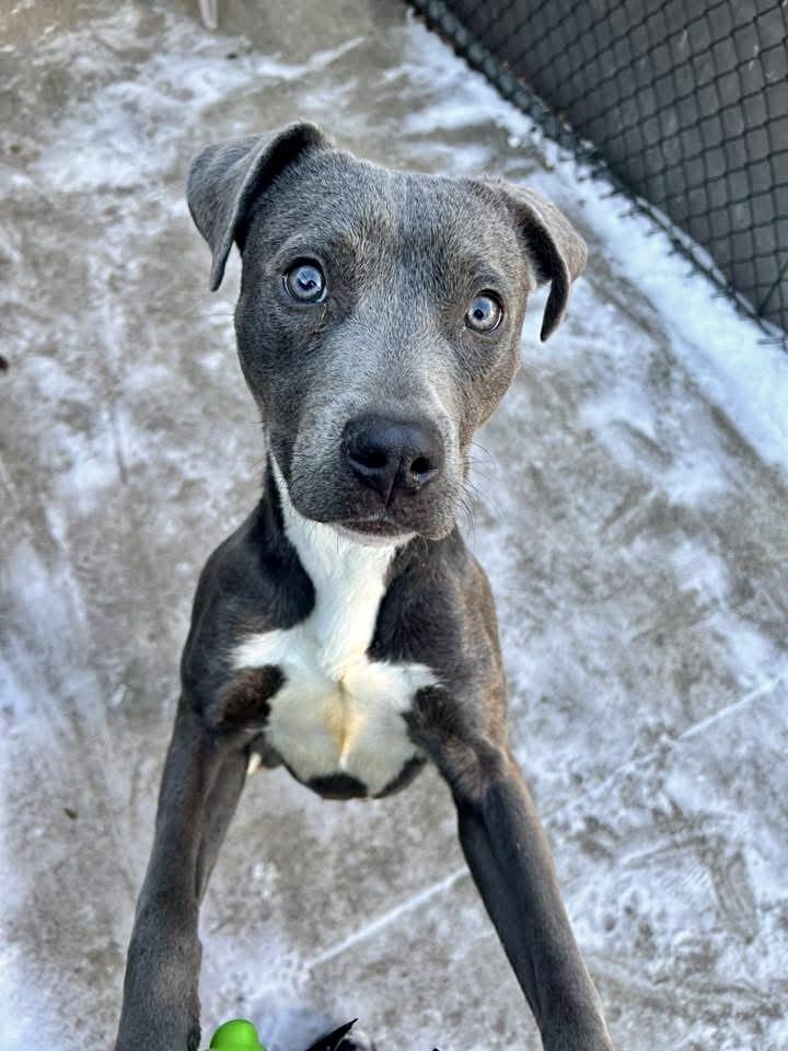 Axel — thumbnail 3