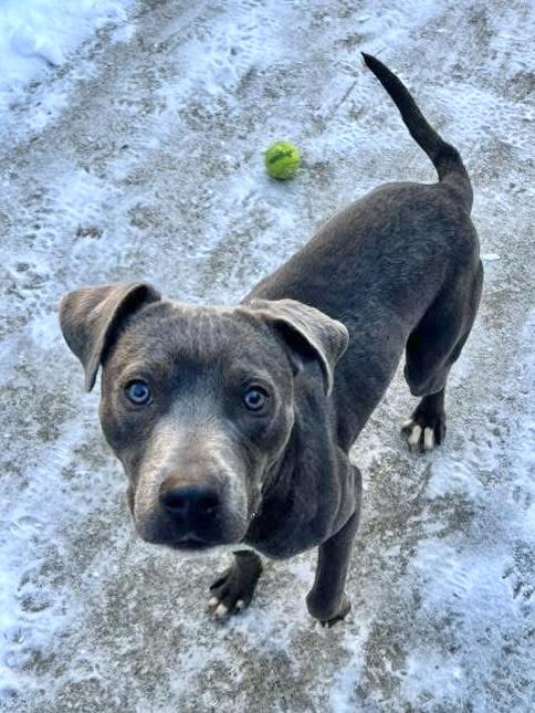 Axel — thumbnail 4