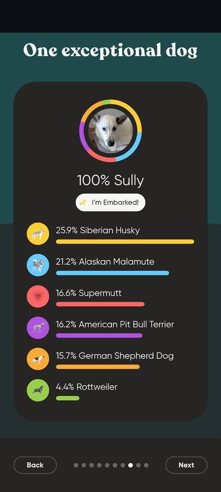 Enlarge Apple Jacks, a Adoptable mixed breed in Fredonia, WI image 1/4