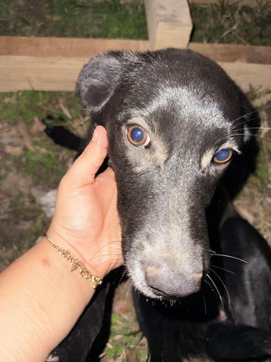 Angel — thumbnail 3