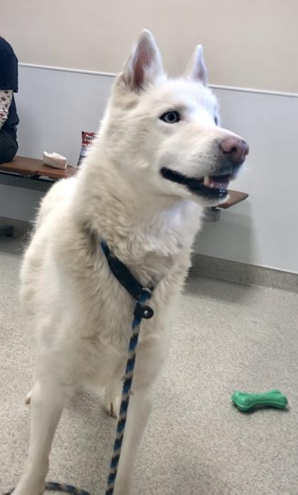 Mavis — thumbnail 2