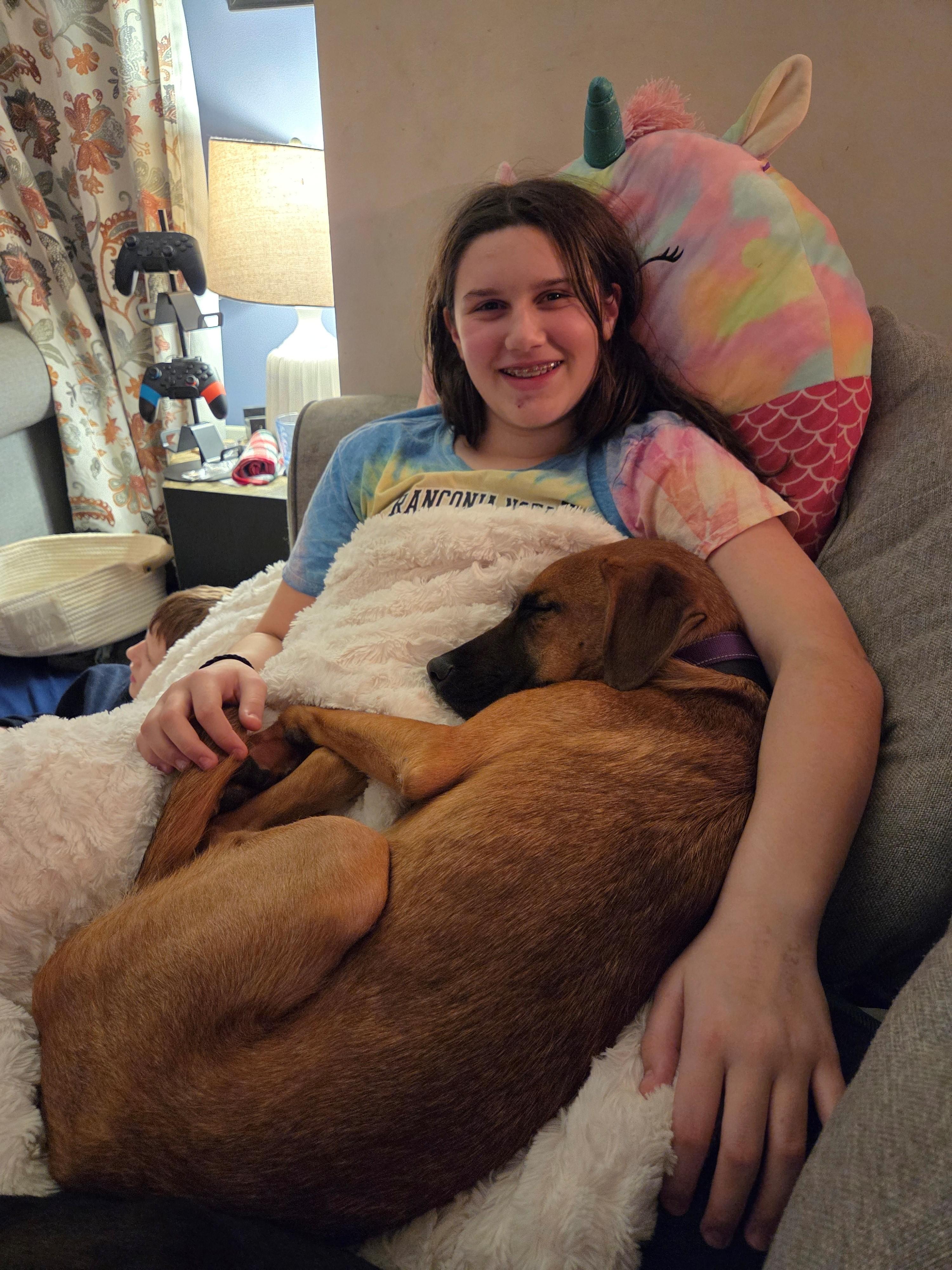 Harry Ranger thumbnail 4