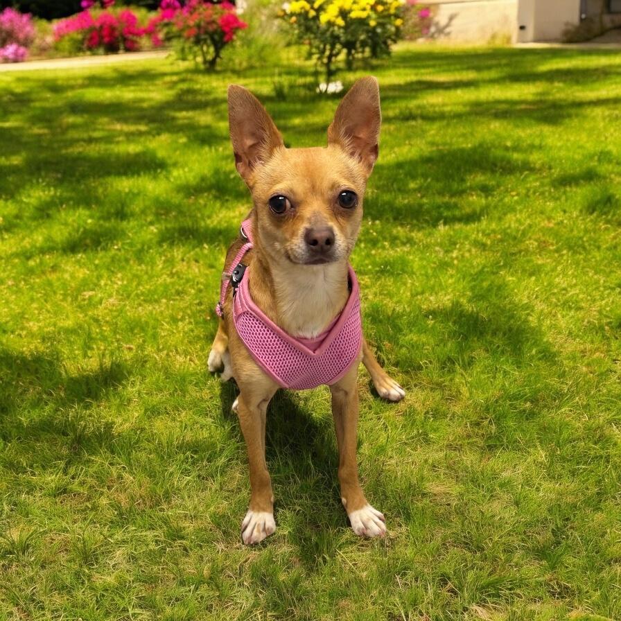 Minnie photo 5