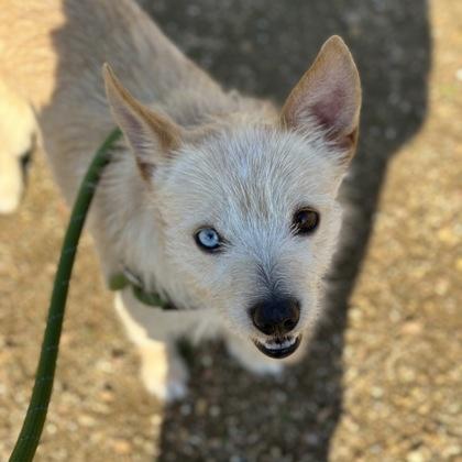 Glow Stick — thumbnail 2