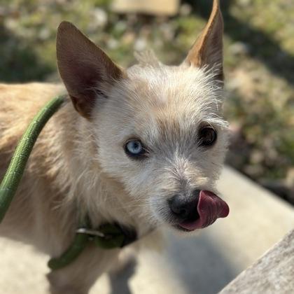 Glow Stick — thumbnail 3