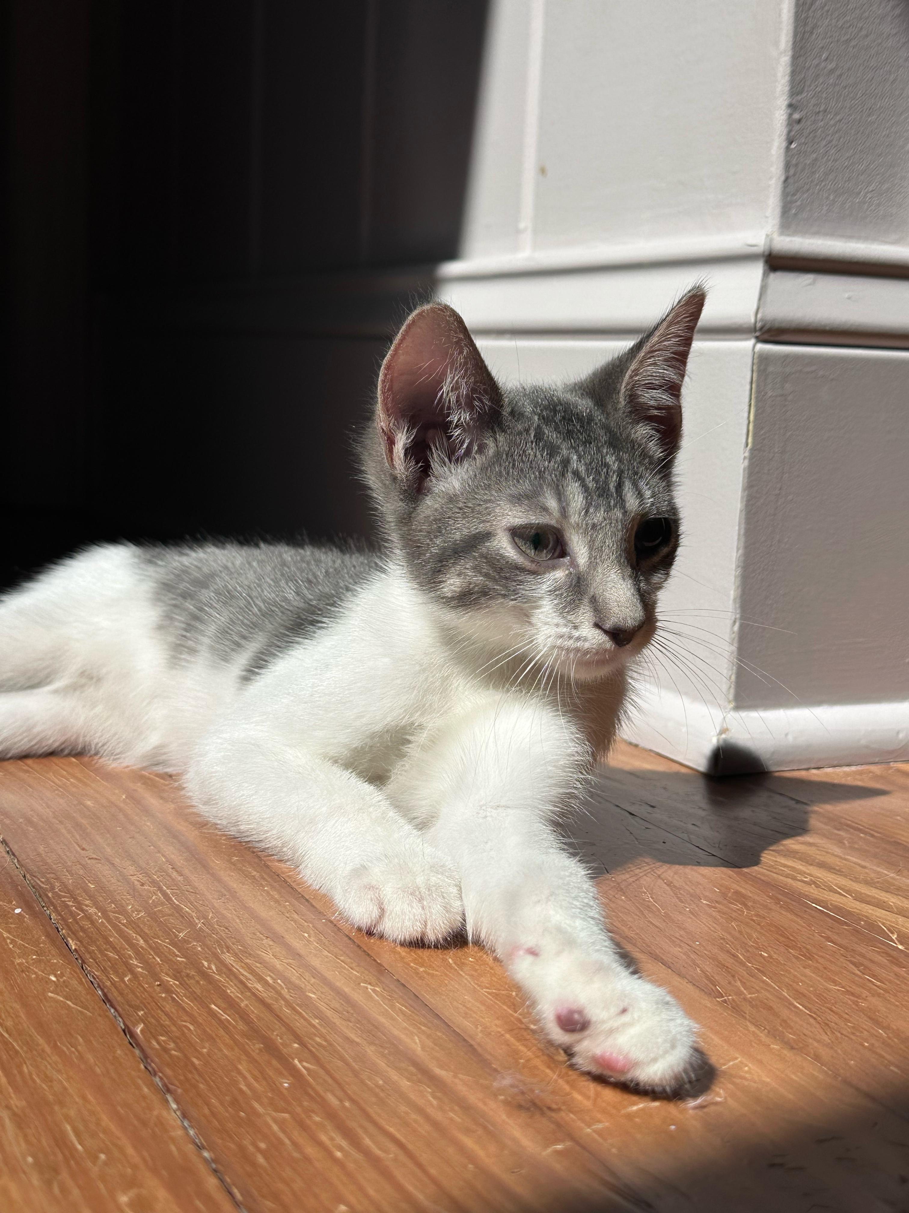 Oscar photo 3