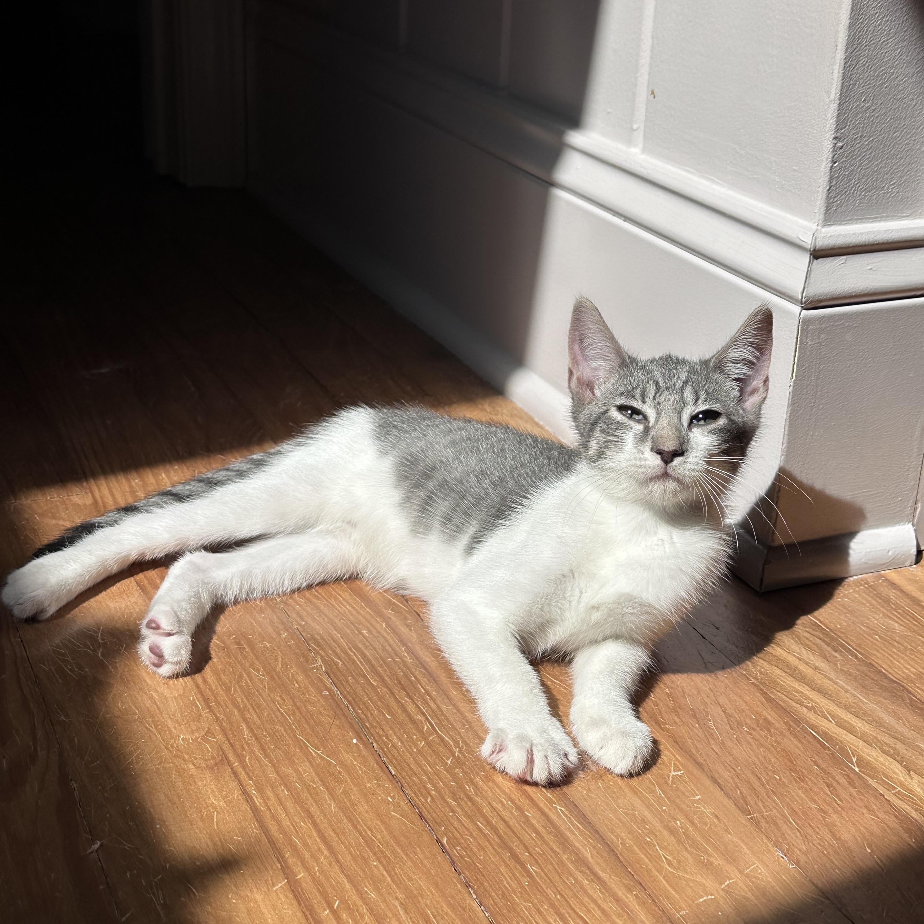 Oscar photo 4