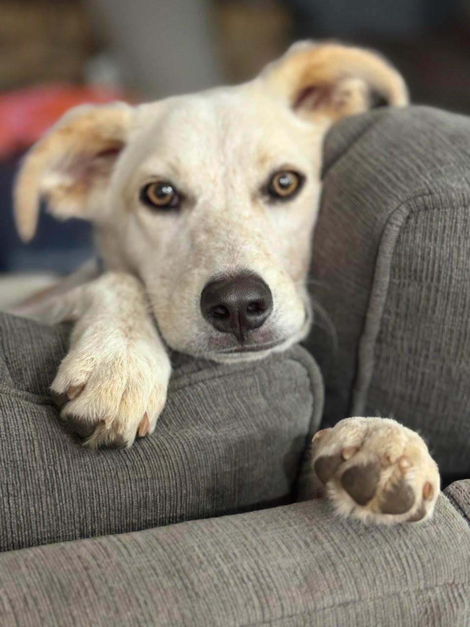 Jack