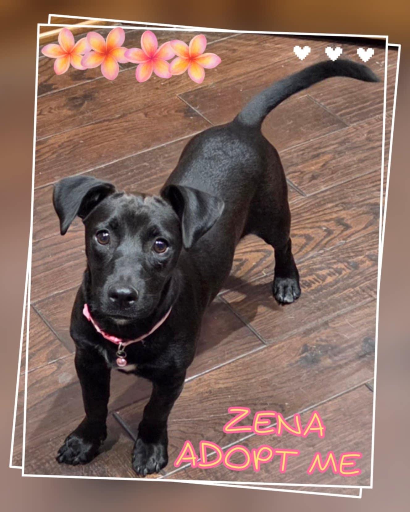 Xena