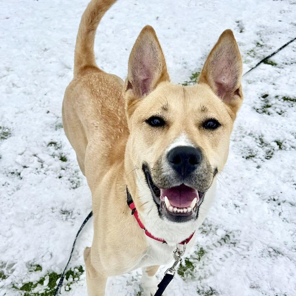 Cleopatra — thumbnail 3