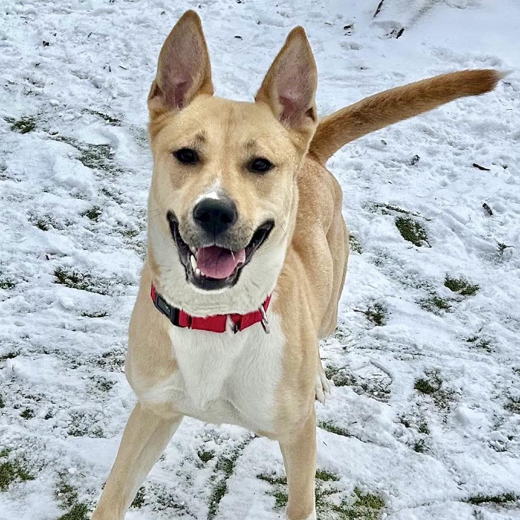 Cleopatra — thumbnail 4