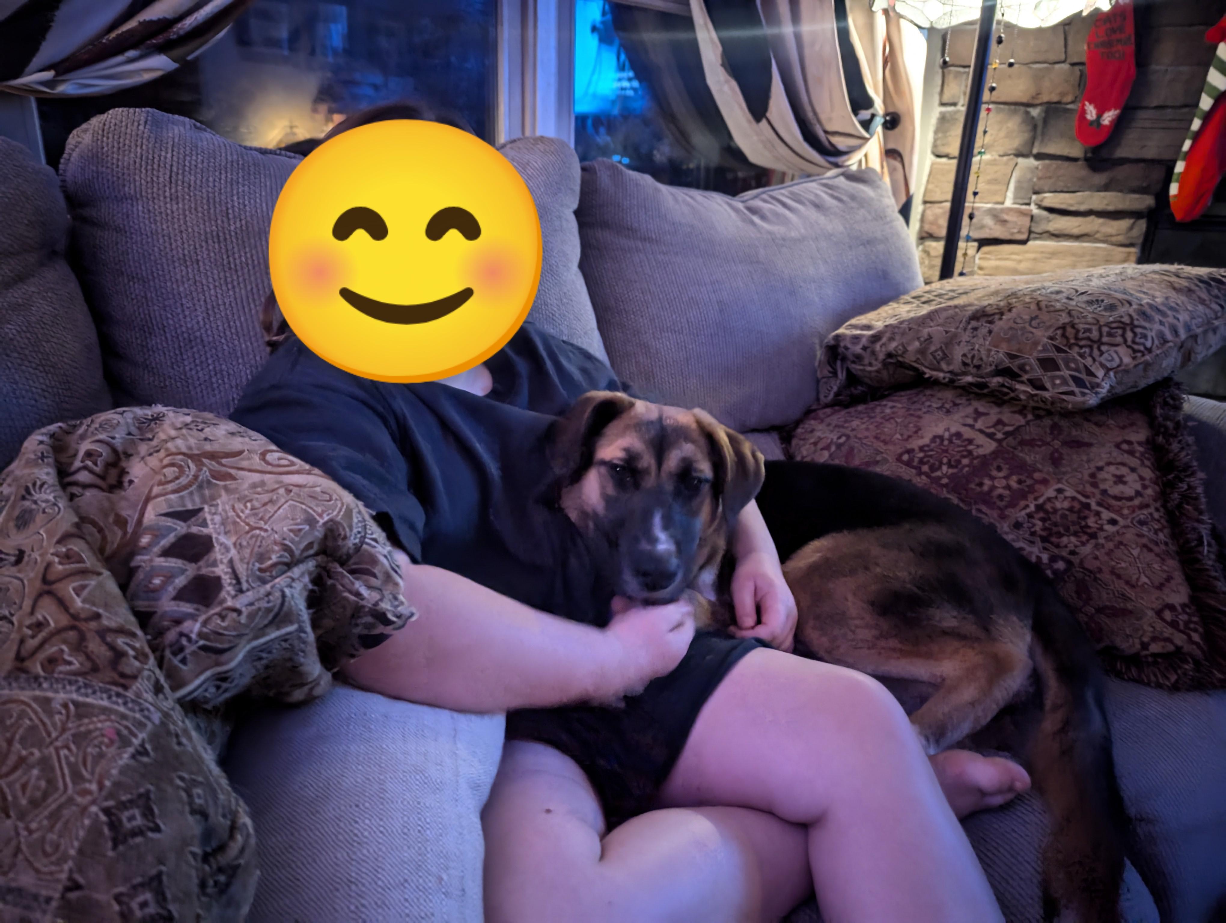 Enlarge Indy, a Adopted mixed breed in Manteno, IL image 4/4