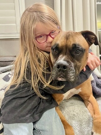 Izzy, a Adoptable mixed breed in Citrus Heights, CA image 5/6