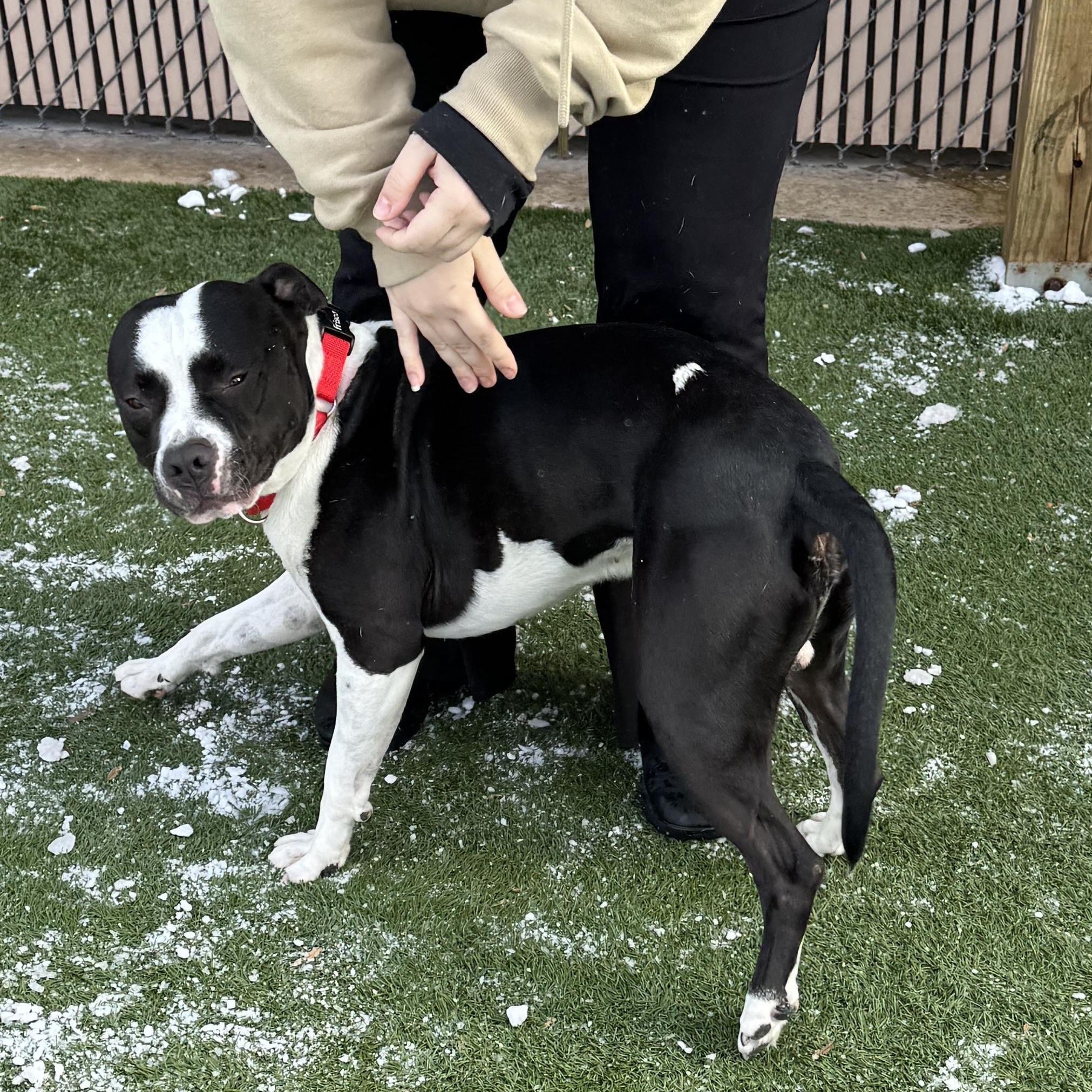 Meet Daddy  Extra thumbnail 2