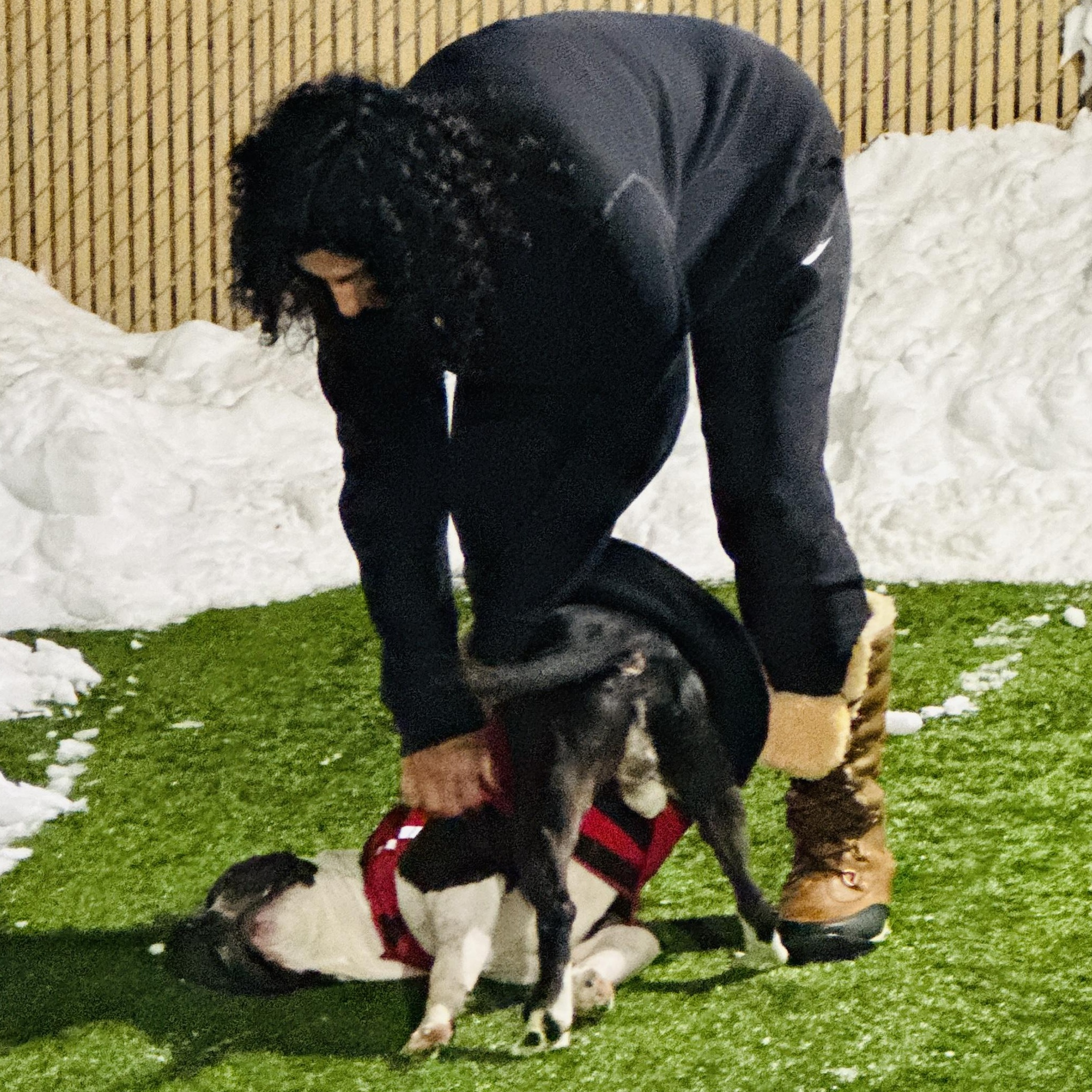 Meet Daddy  Extra thumbnail 3