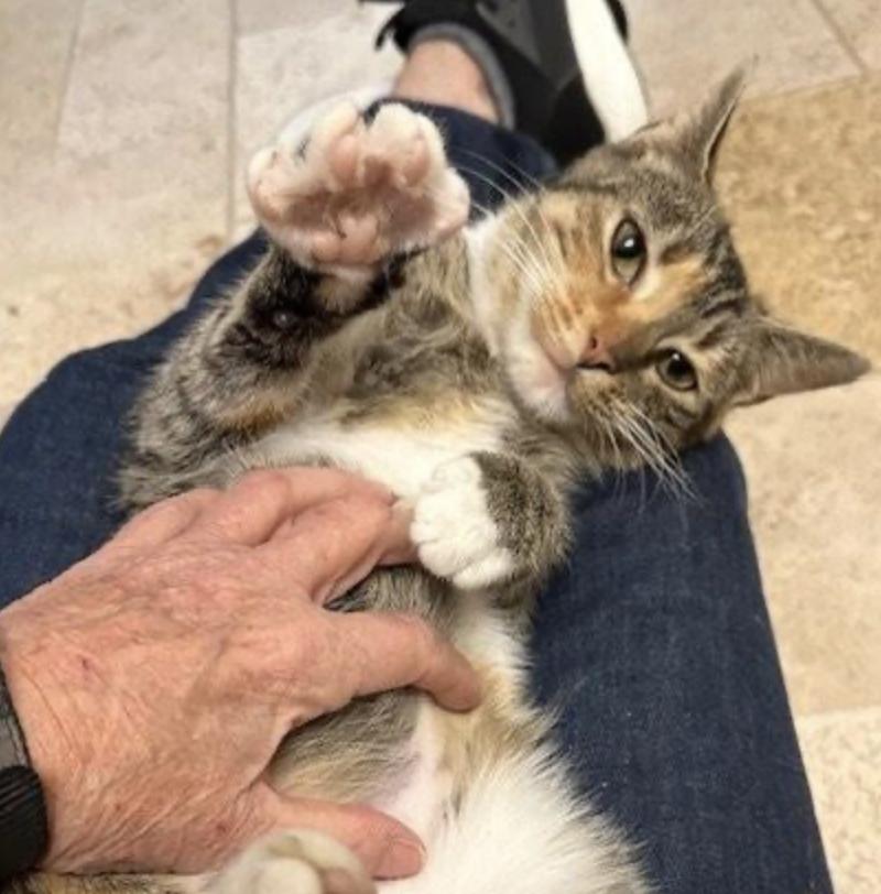 Natorpia thumbnail 2