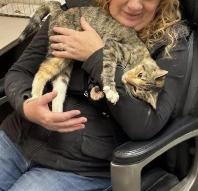 Natorpia thumbnail 6